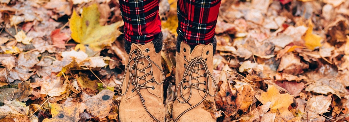 Autumn Leaves
